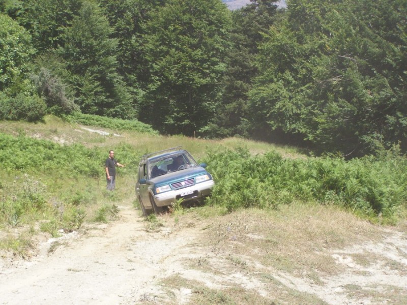 P8078875.jpg