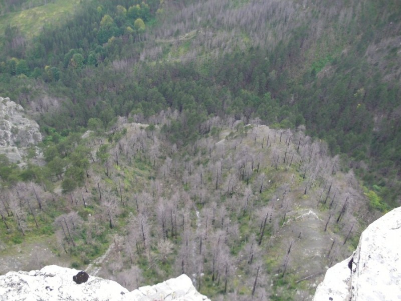 SANY0080.jpg