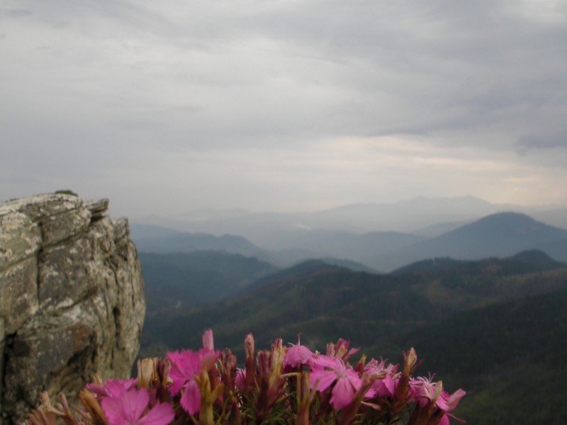 SANY0082.jpg