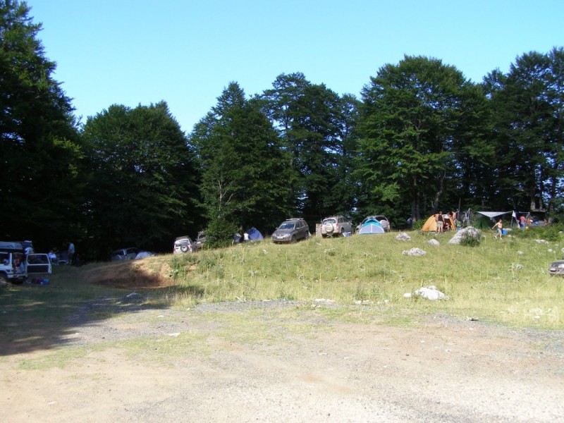 P8078909.jpg