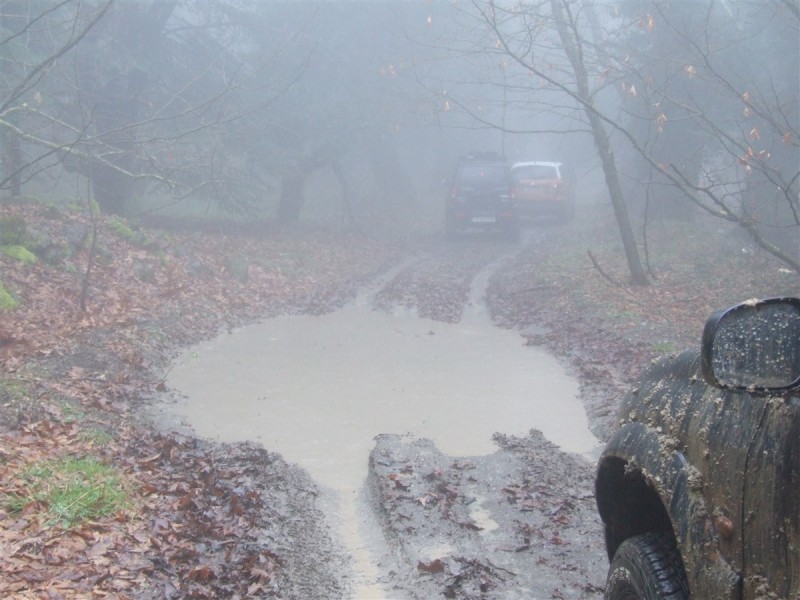 DSCF5559.jpg