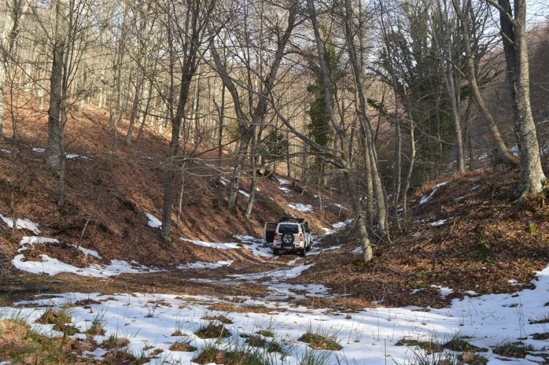 DSC_0484.jpg