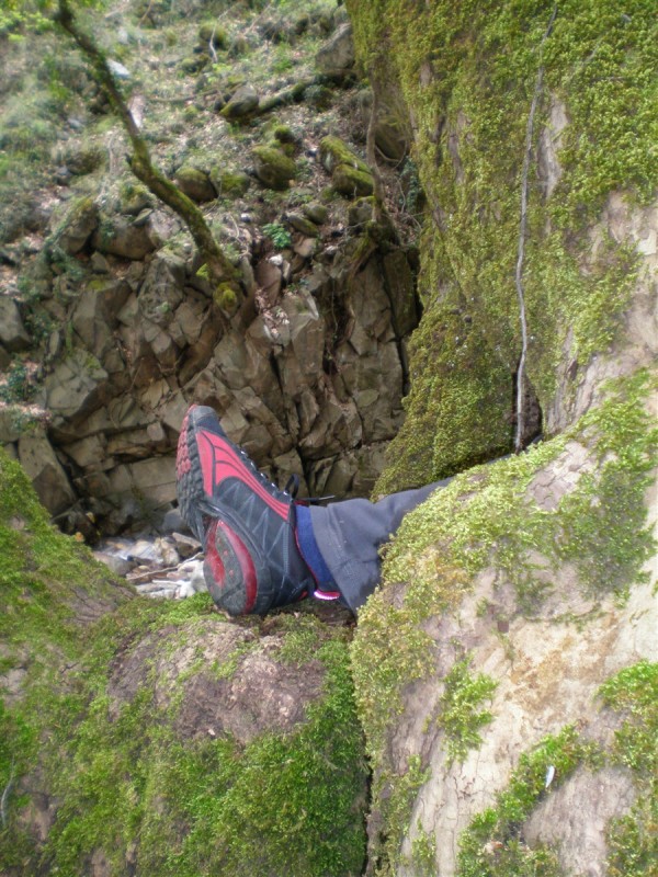 P4240030.jpg