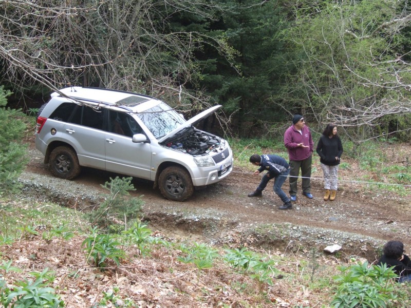 DSCF5646.jpg
