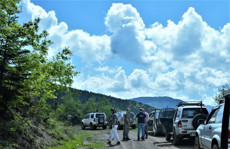DSC_0102.jpg