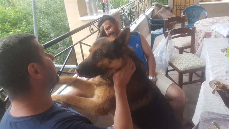 20180520_174818.jpg