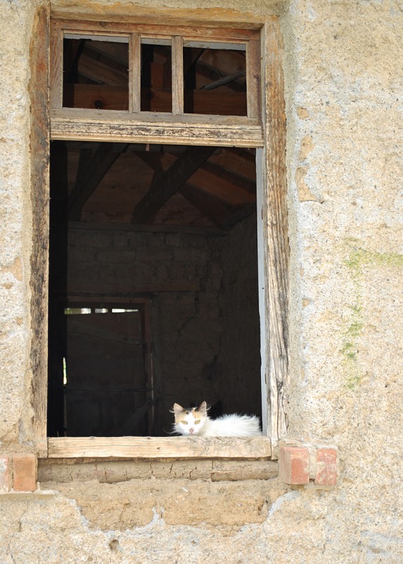 DSC_0054.JPG