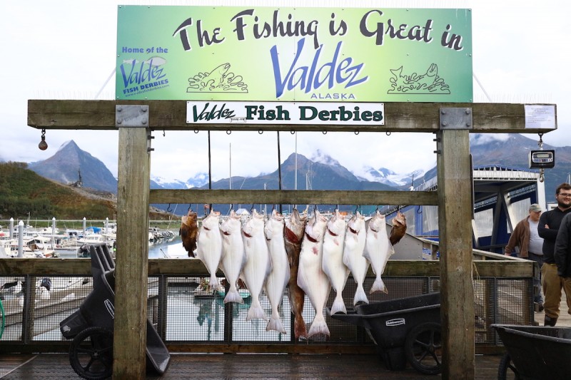 alaska00478.JPG