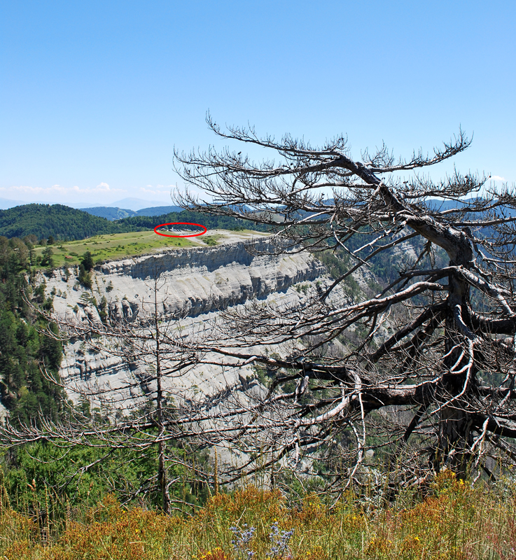 DSC_0176.JPG