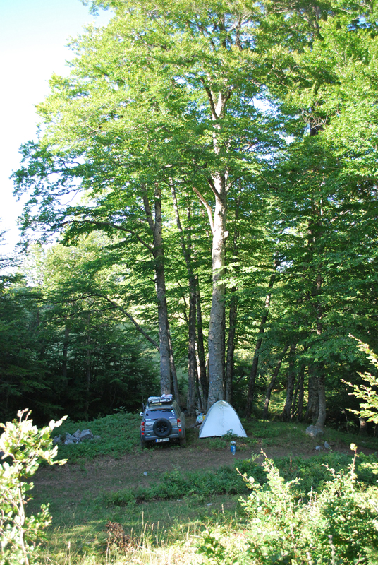 DSC_0214.JPG