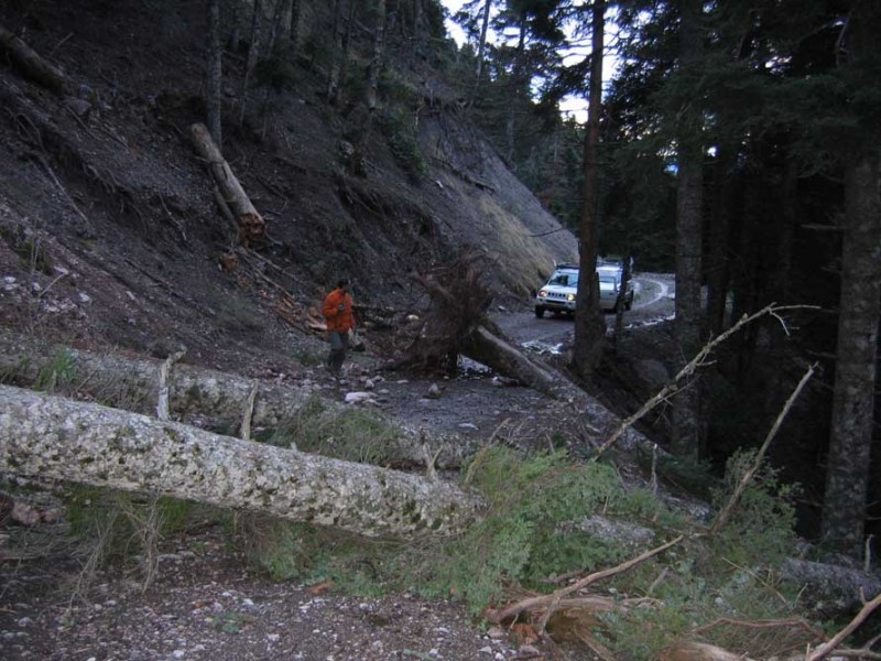 105.jpg