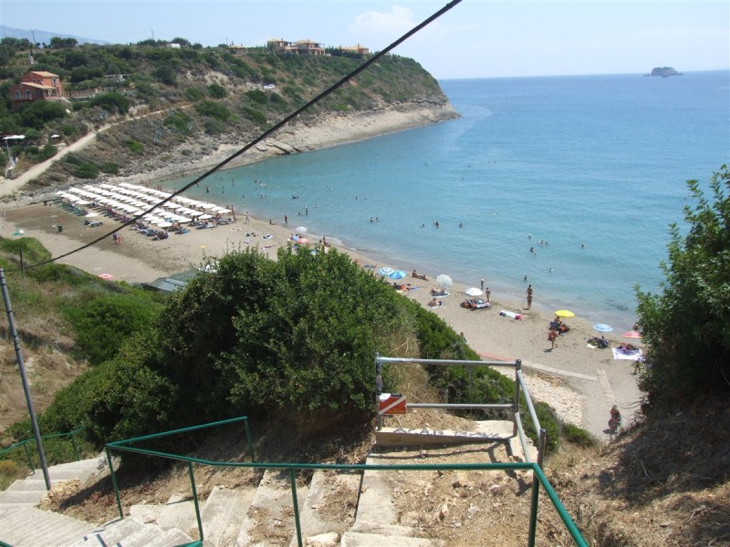 DSCF4201.jpg
