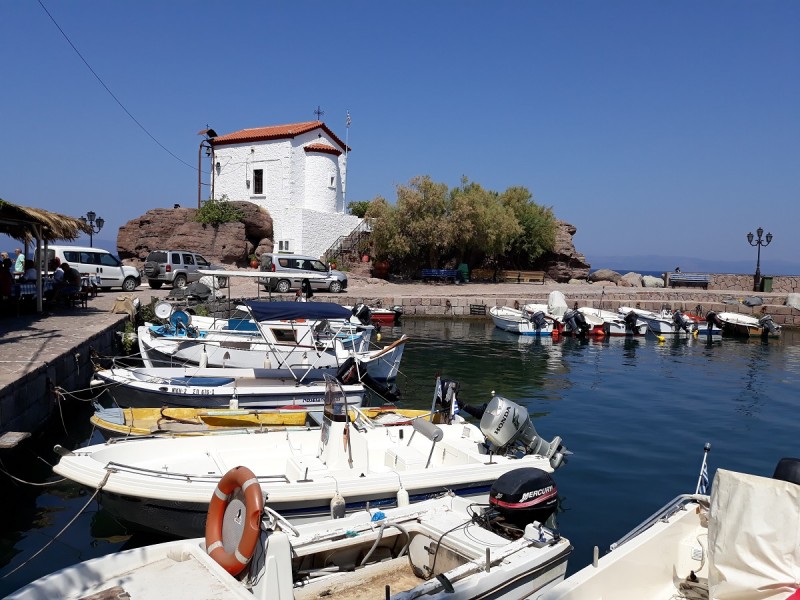 20180903_125058.jpg