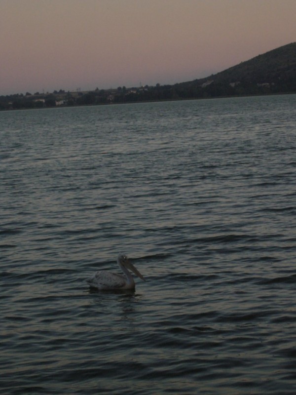 DSCN2733.jpg