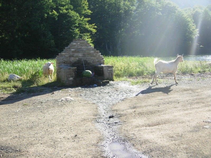 DSCN2785.jpg