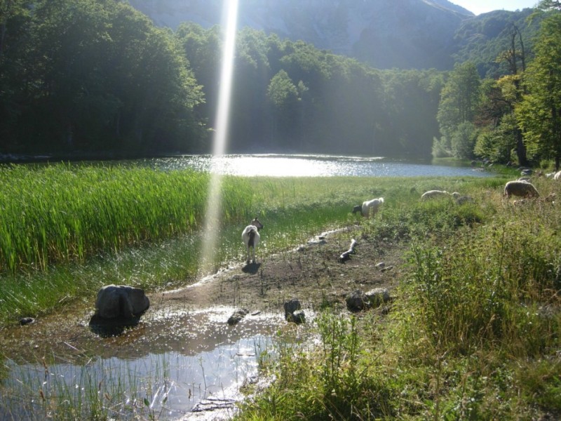 DSCN2786.jpg