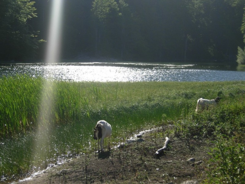 DSCN2787.jpg