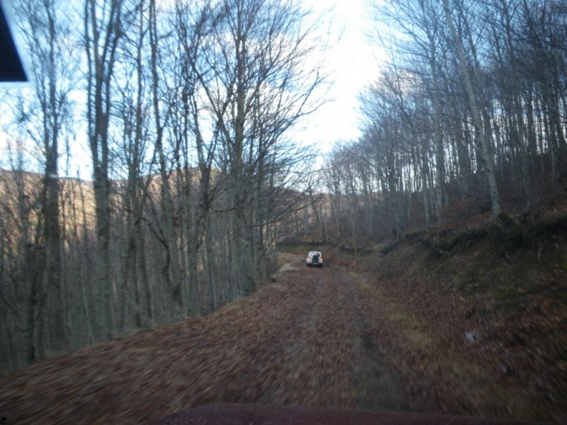 12_1024x768.jpg