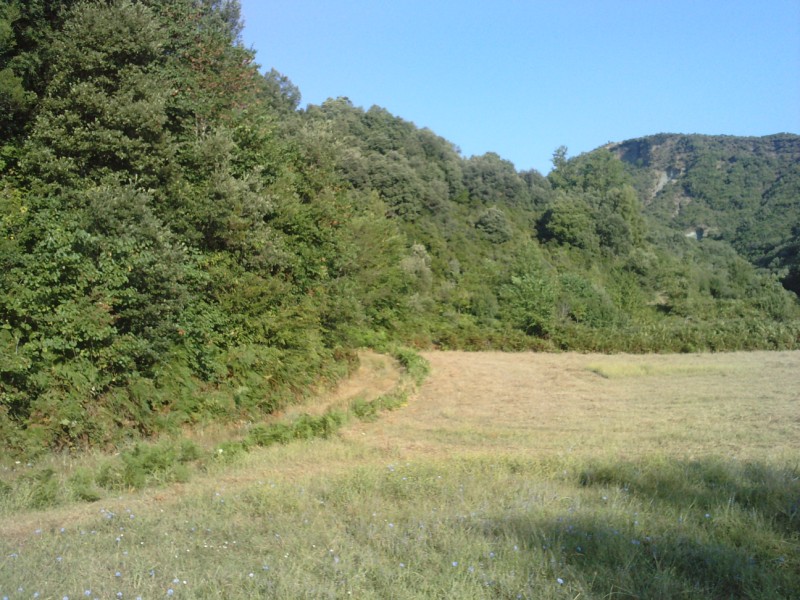 P130810_08.500002.jpg