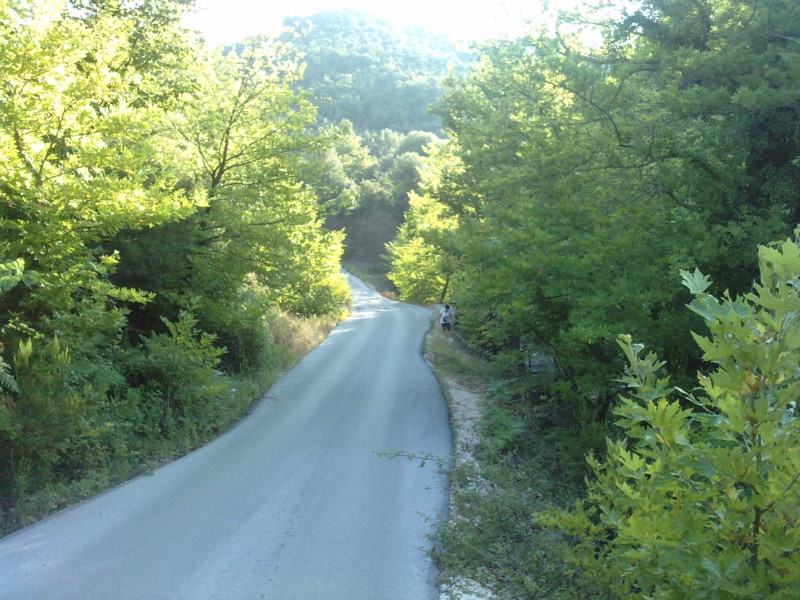 P130810_08.510002.jpg