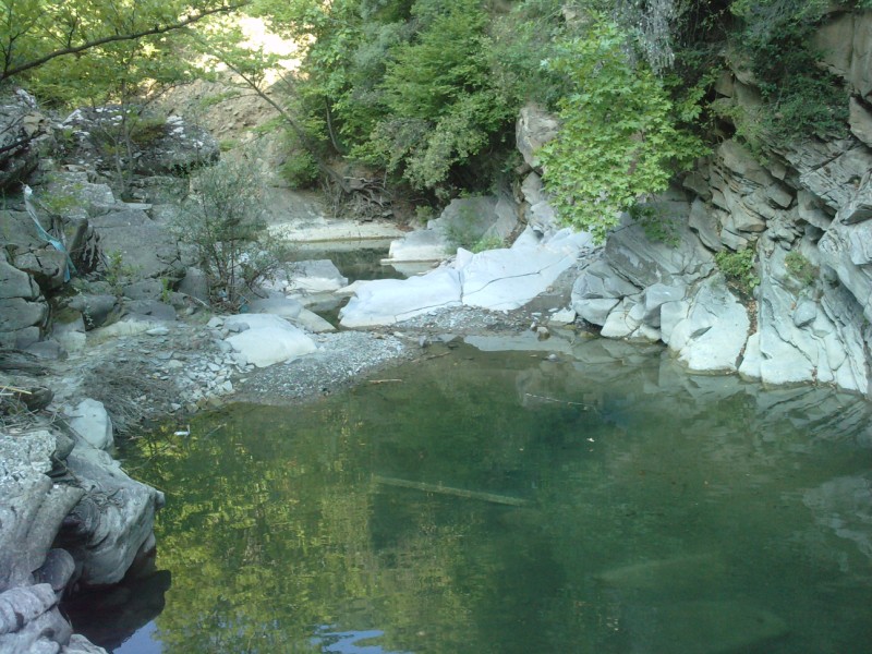 P130810_08.590001.jpg