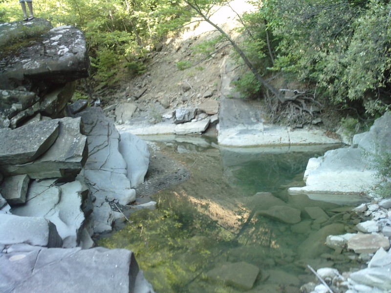 P130810_09.020001.jpg