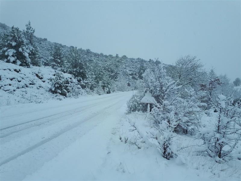white scene.jpg