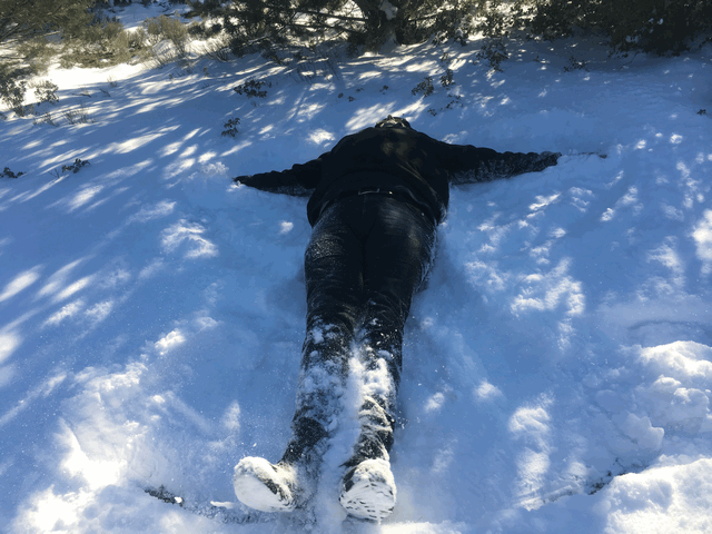 2019-01-08_163141.gif