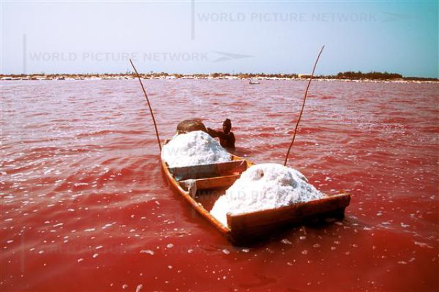 pink_lake_07.jpg