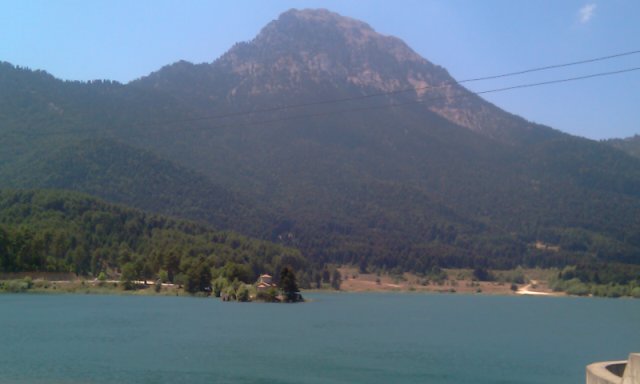 IMAG0145.jpg