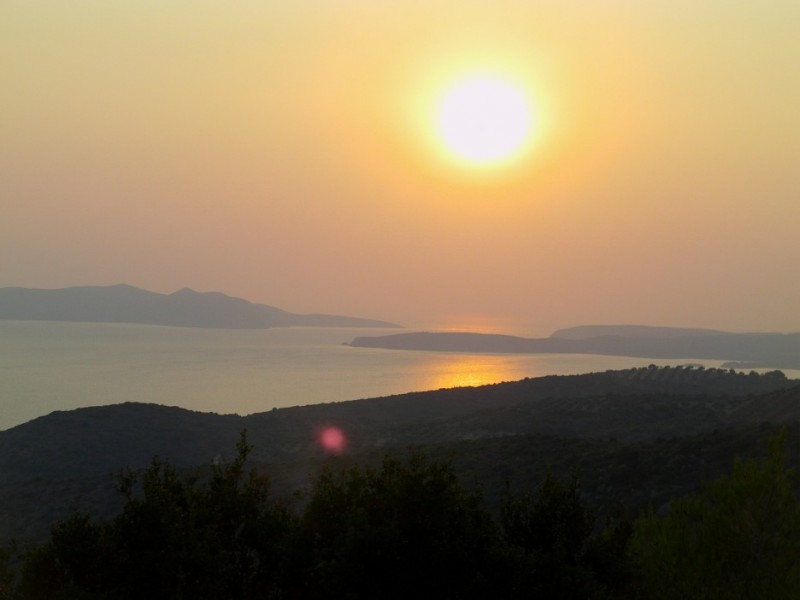 IMAG0222.jpg