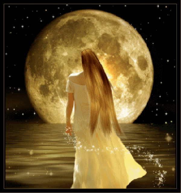 moon.gif