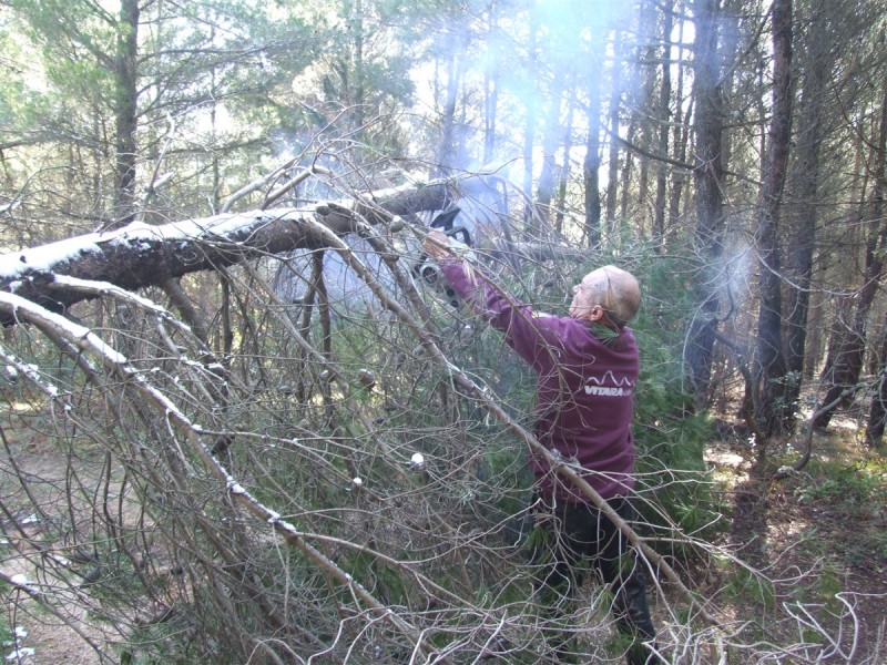 DSCF6679.jpg