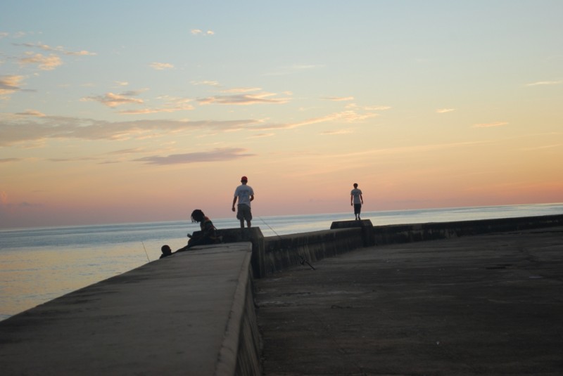 DSC_1445.JPG