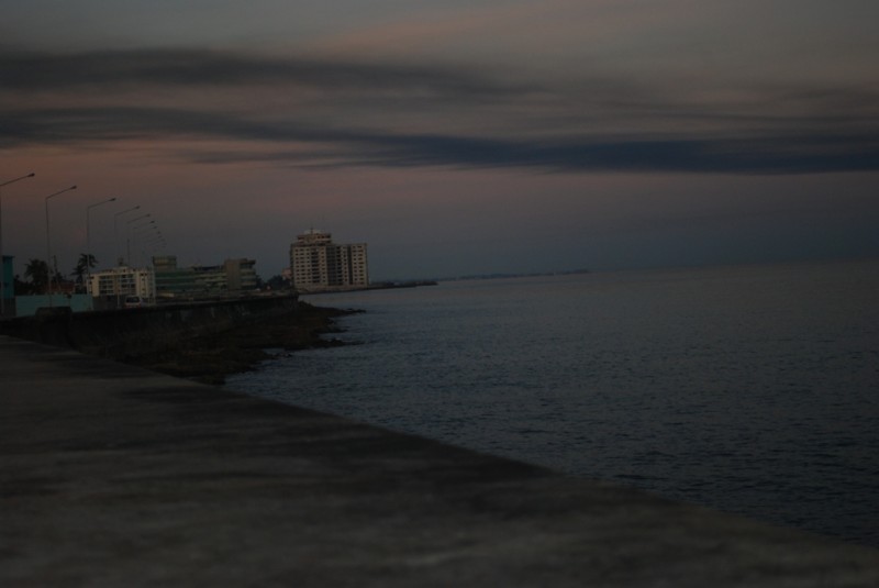 DSC_1442.JPG