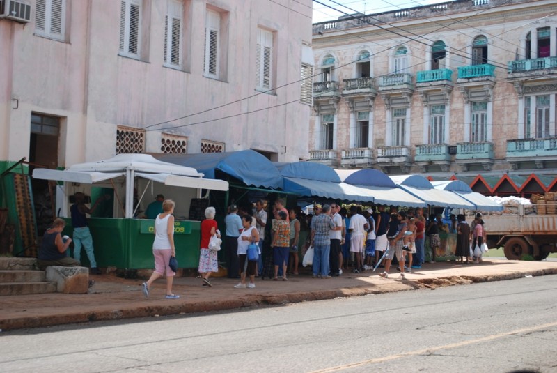 DSC_1795.JPG