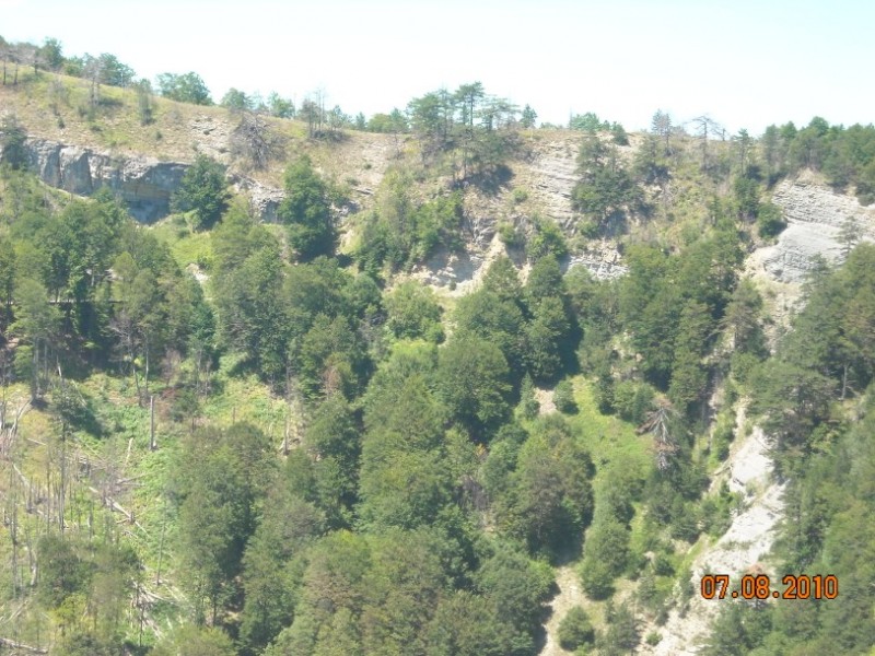 diafora 131.jpg