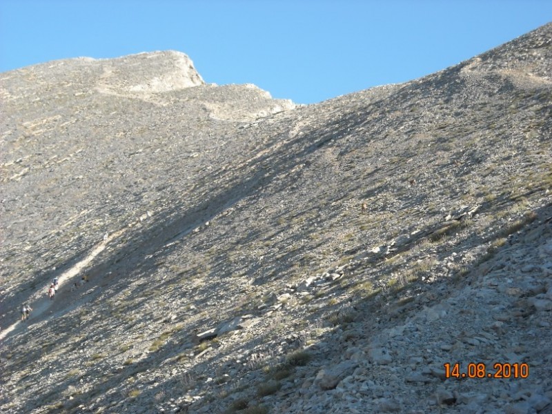 diafora 242.jpg