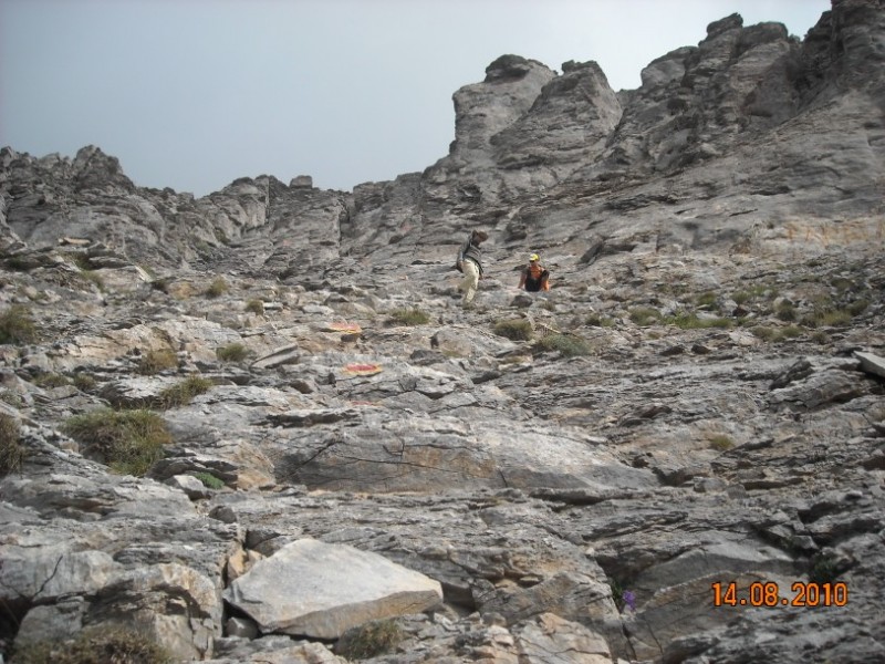 diafora 280.jpg