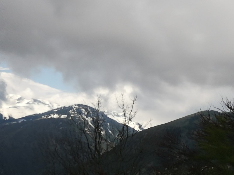 IMG_20190414_105304.jpg