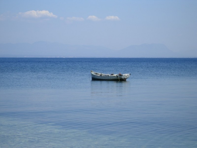DSCN0914 (816 x 612).jpg