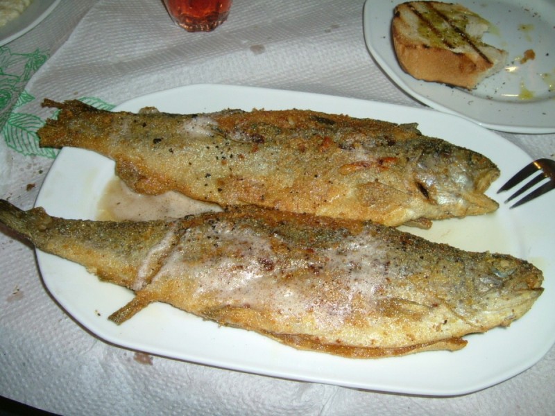epiniana (162).JPG