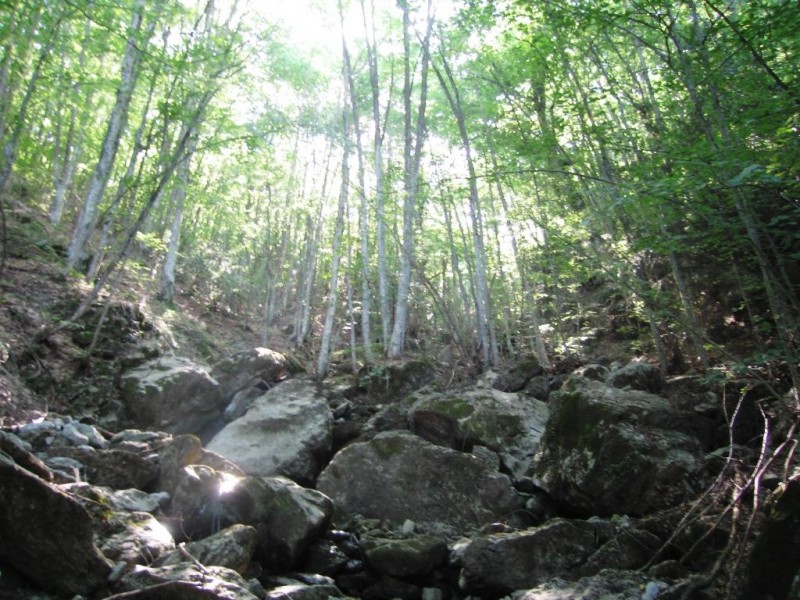 IMG_8952.jpg