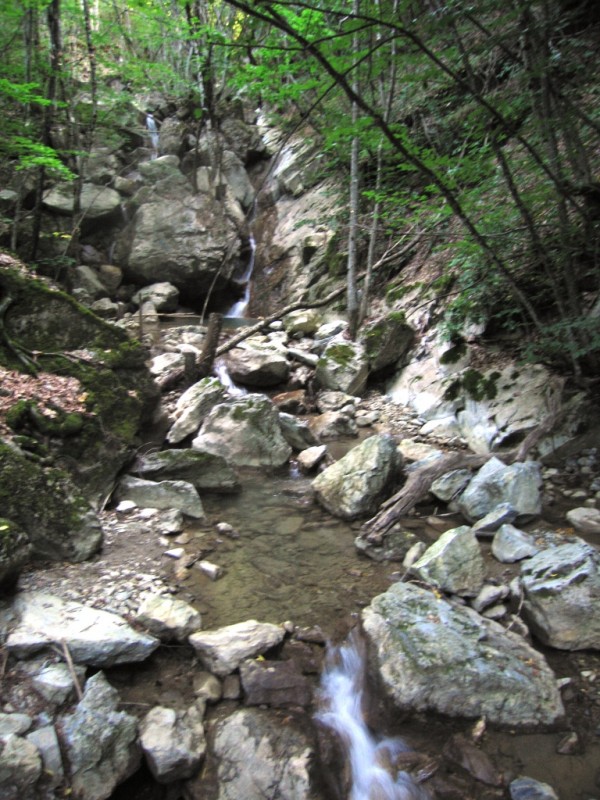 IMG_8959.jpg