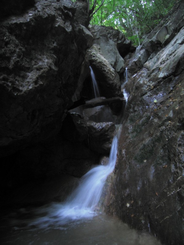 IMG_8966.jpg