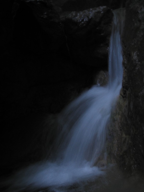 IMG_8971.jpg