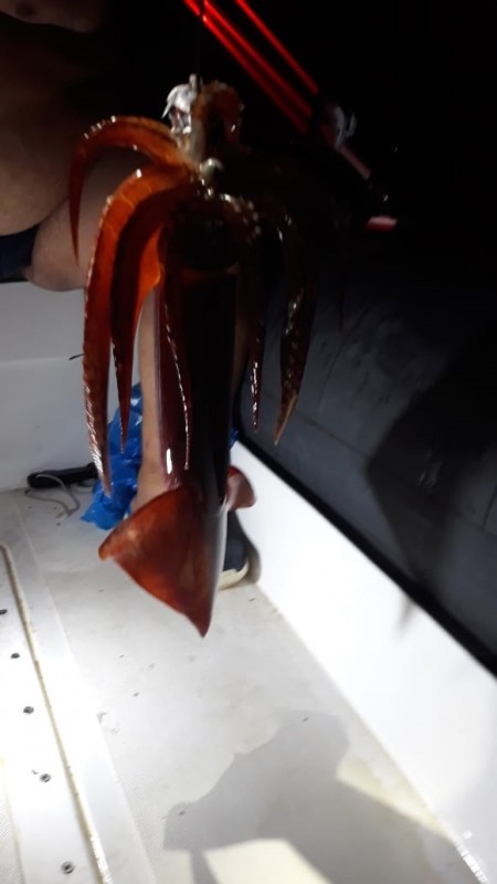 IMG-20190806-WA0001.jpg