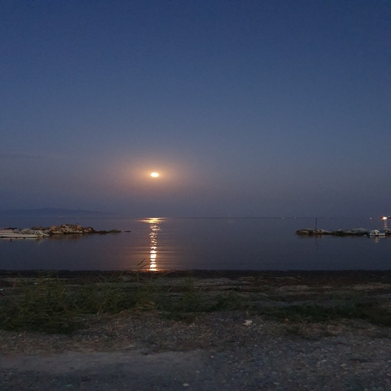 20190814_204515.jpg