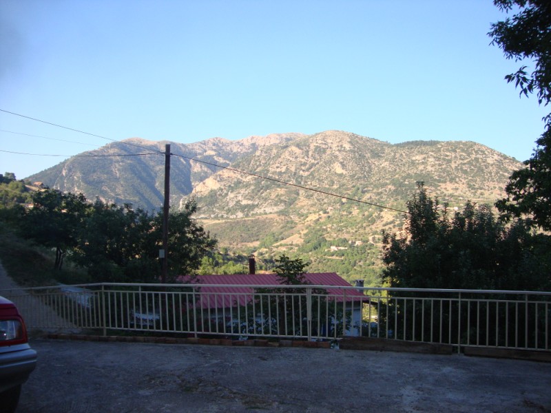 DSC06896.jpg