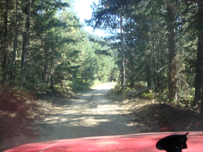 DSC06911.jpg